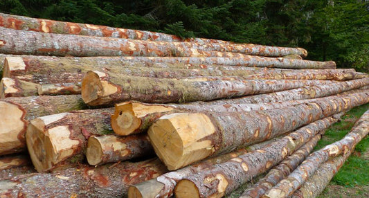 Grûme de bois - Épicéa - camion complet de 40m3