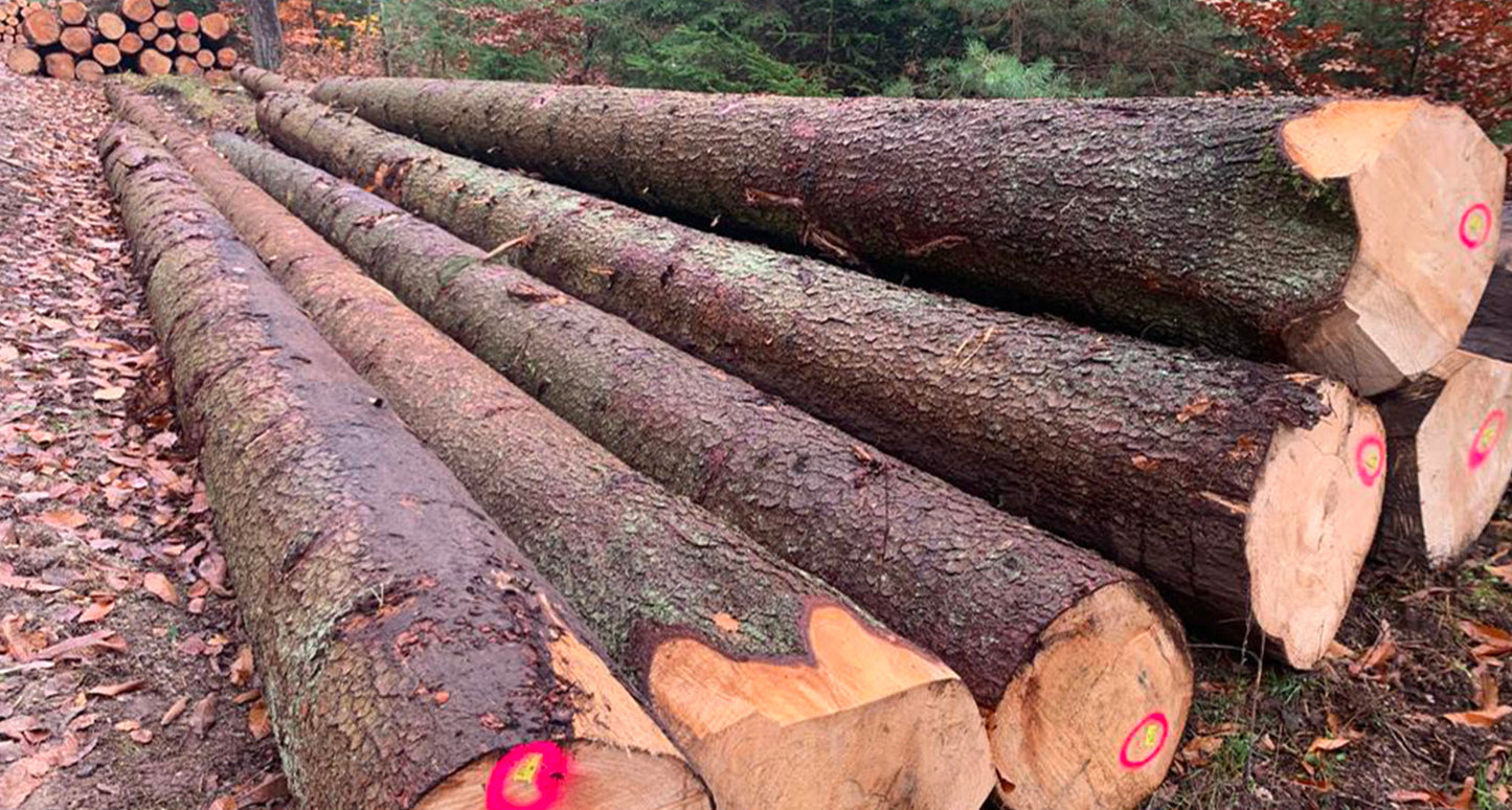 Grumes de bois hêtre - camion complet de 60m3