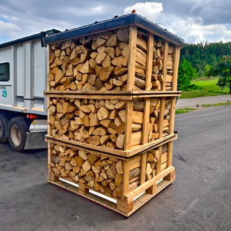 Bûches de bois de chauffage sèches de 25 cm sur une palette (3 mètres cubes)
